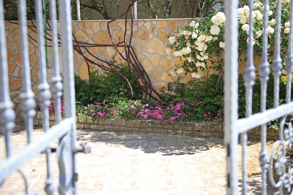 Apartments Superba بروداريكا المظهر الخارجي الصورة